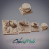 Tropical Ruins Square Base Pack (4pc) image