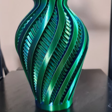Picture of print of Inversion Vase