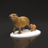 Capybaras image