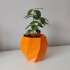 Lowpoly Planter image