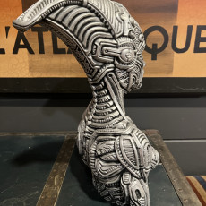 Picture of print of Biomechanical bust