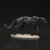 Black Panther - Jaguar image