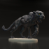 Black Panther - Jaguar image