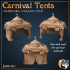 Fancy Carnival Tents image