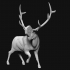 Run Elk image