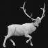 Run Elk image