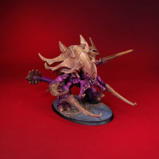Picture of print of Hive Kelth Ultrafex