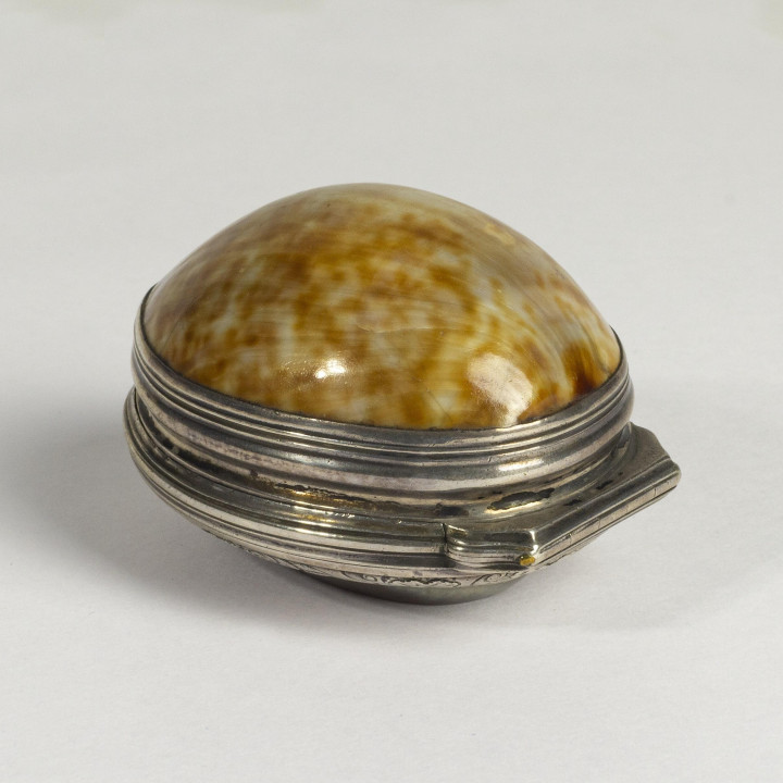 3D Printable Shell Snuffbox by The Hunt Museum