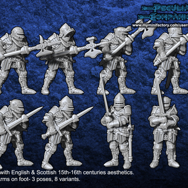 Anglo-Scottish Humans - Heavy infantry's Cover
