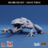 Shard Beast: Giant Frog image