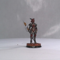 Picture of print of Dragonguard Trooper - 32mm - DnD