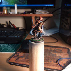 Picture of print of Delia The Swift (Female Assassin)  - 32mm - DnD