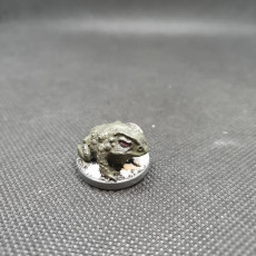 Picture of print of Giant Toad - Pre Supported