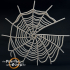 Spider Webs - Presupported image
