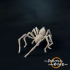 Giant Spiders Set - Presupported image