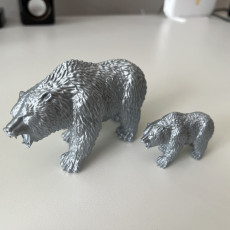 Picture of print of Bear