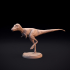 Juvenile Tyrannosaurus running dinosaur image