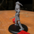 Draugr Undead Skeleton Fighter Warrior Sword image