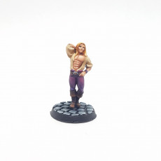 Picture of print of Entertainer [PRE-SUPPORTED MODEL]