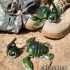 GRENURTLE (Grenade Turtle) image