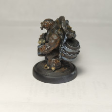 Picture of print of Tortle Barkeep