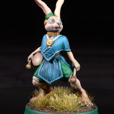 Picture of print of Elacott - Rabbitfolk Bard - DnD is a Woman Free STL