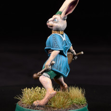 Picture of print of Elacott - Rabbitfolk Bard - DnD is a Woman Free STL