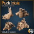 Pack Mule - Laden and Unladen versions image