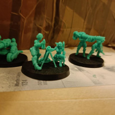 Picture of print of Pinup Support Weapons