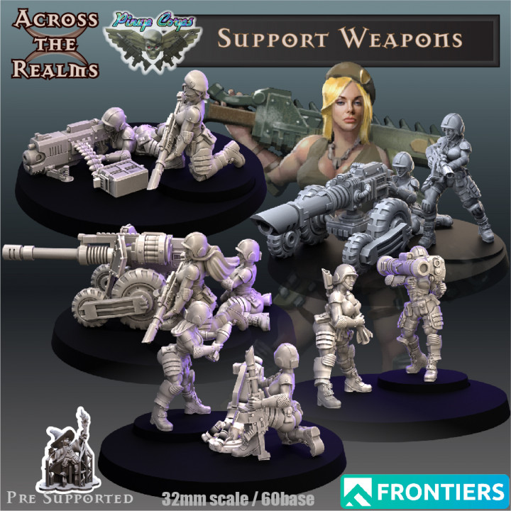Pinup Support Weapons's Cover