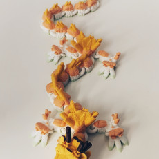 Picture of print of Sushi Dragon
