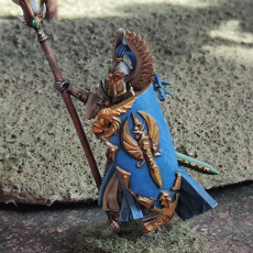 Picture of print of High elves spear lord