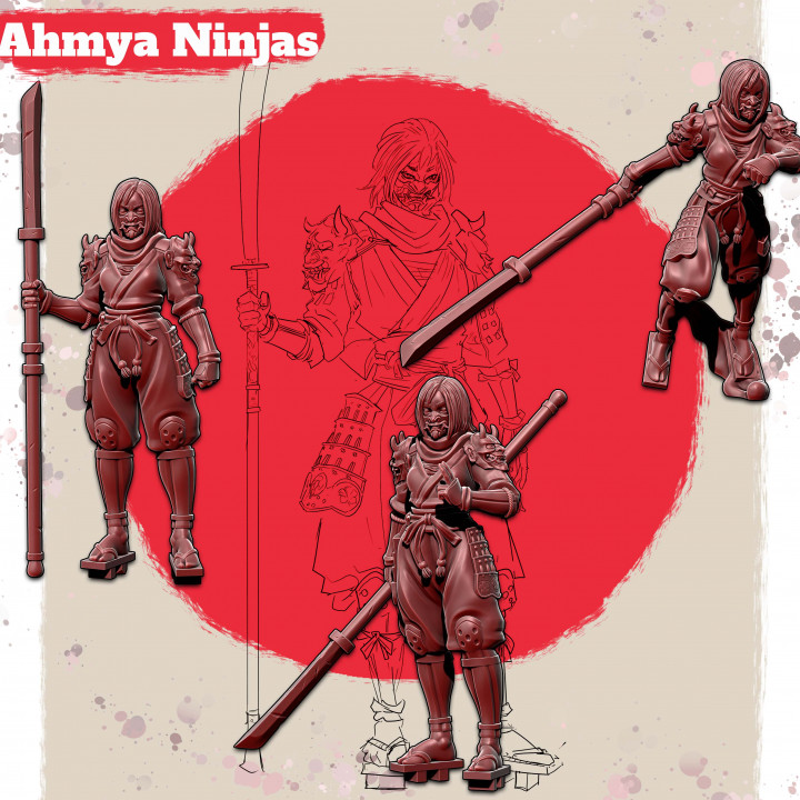Ahmya Ninja x3's Cover