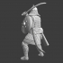 Dismounted heavy Mongol Warrior image