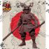 Samurai Hero image