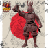 Samurai Chief image