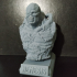 NEMESIS ULTRA-DETAILED SUPPORT-FREE BUST 3D MODEL image