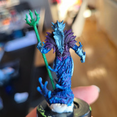 Picture of print of Water Myrmidon