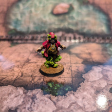 Picture of print of Halfling Sorcerer (pre supported)
