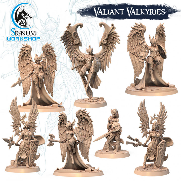Valiant Valkyries's Cover