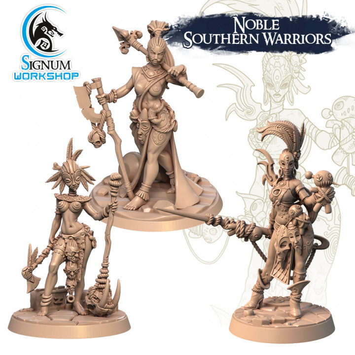 Noble Southern Warriors's Cover