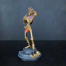 Picture of print of Stupid Sexy Lich