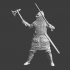 Medieval Russian knight with axe and sword image