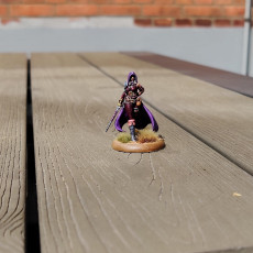 Picture of print of Raven - Female Rogue