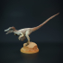 Velociraptor Mongolianensis scar image