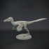 Velociraptor Mongolianensis running image