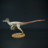 Velociraptor Mongolianensis running image