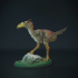 Kelenken standing - prehistoric bird image