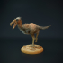 Kelenken - prehistoric bird image