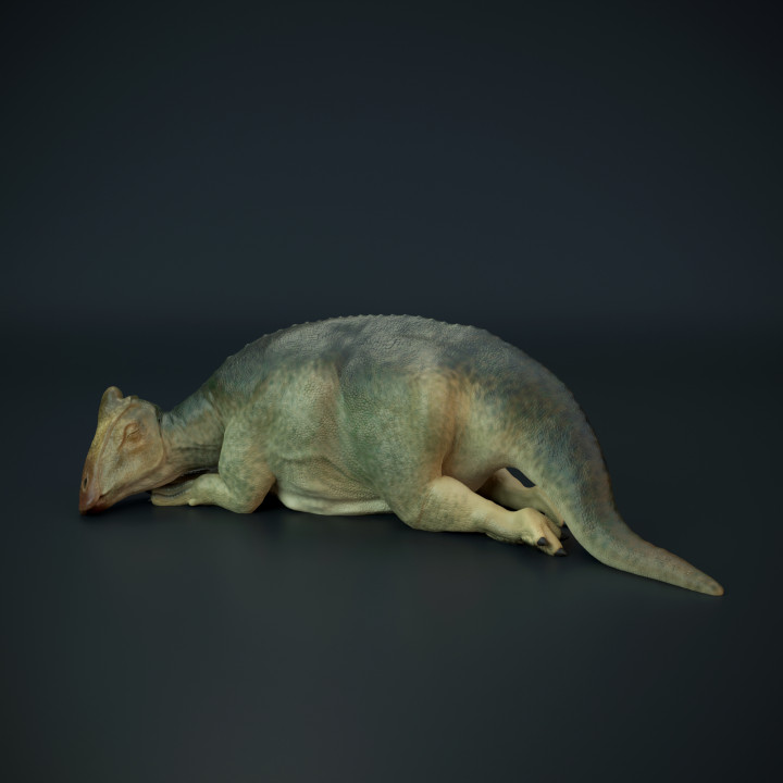 $4.00Parasaurolophus baby sleeping - dinosaur